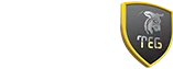 گروه مهندسین تخت جمشید | نماینده برترین برندهای گیمینگ دنیا